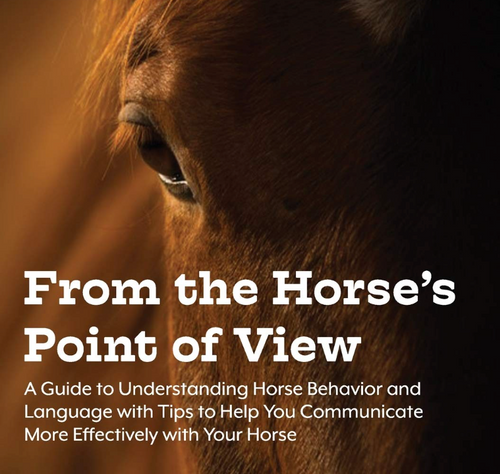 Ebook: From the Horse's Point of View